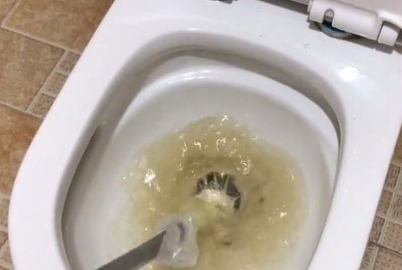 马桶堵了怎么办？疏通马桶工具都需要哪些？