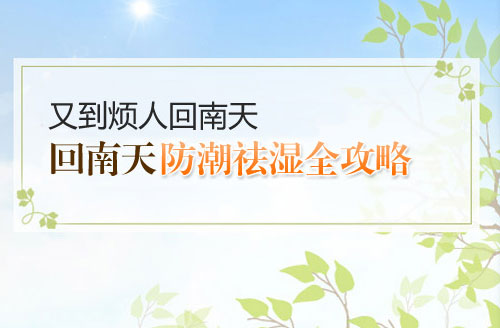 回南天墙壁发霉怎么办