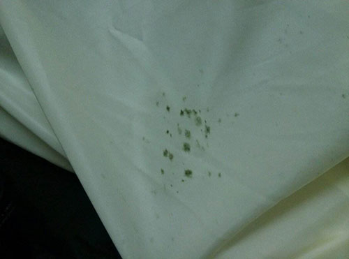 去除霉菌的物品