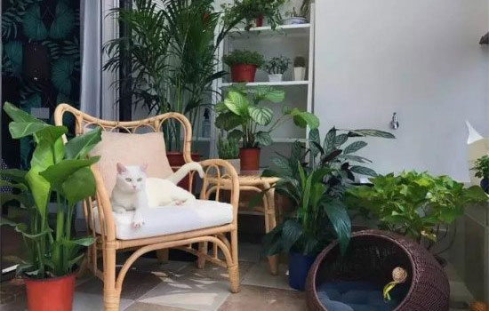 阳台装修