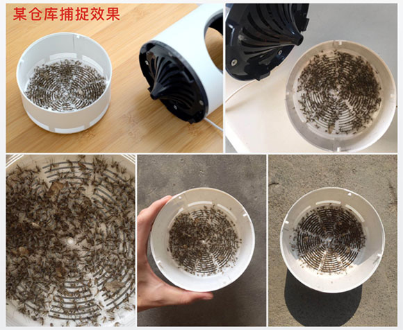 紫外光灭蚊灯