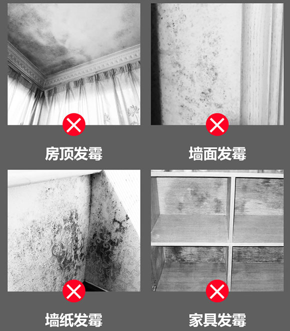 除霉剂
