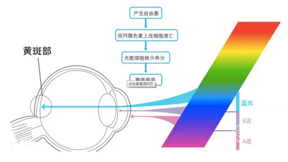 筒灯选择