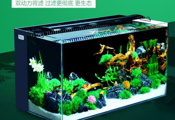 生态水族箱的8大特点